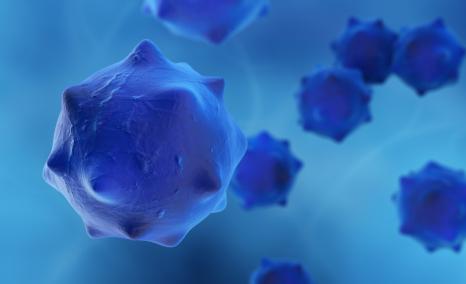 Merus’ BIZENGRI: The New Face of NRG1+ Cancer Treatment After FDA Approval