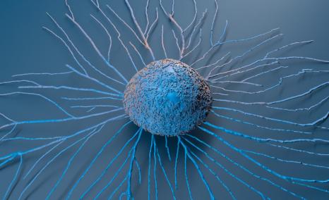 Ono’s ROMVIMZA Triumph Sparks Battle with Daiichi Sankyo’s TURALIO in TGCT Space