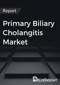 report image delveinsight